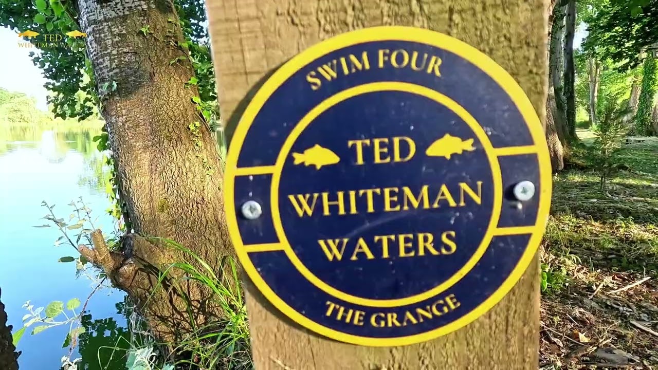 TEDWHITE MAN 2