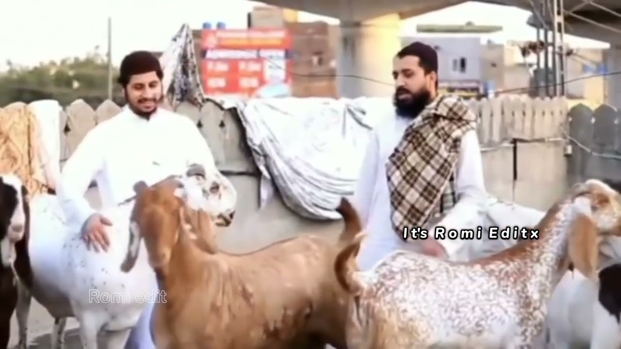 New Video 😎 l Allama Saad o Anas Hussain Rizvi 😍❤️ Tlp Status #new #trending #video