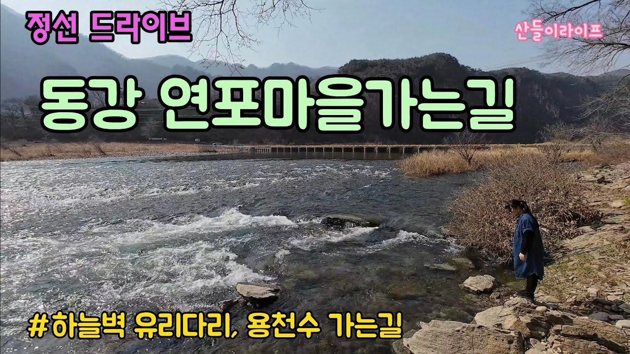 동강드라이브 정선운치리에서 연포마을까지 / 칠족령 ,용천수소개