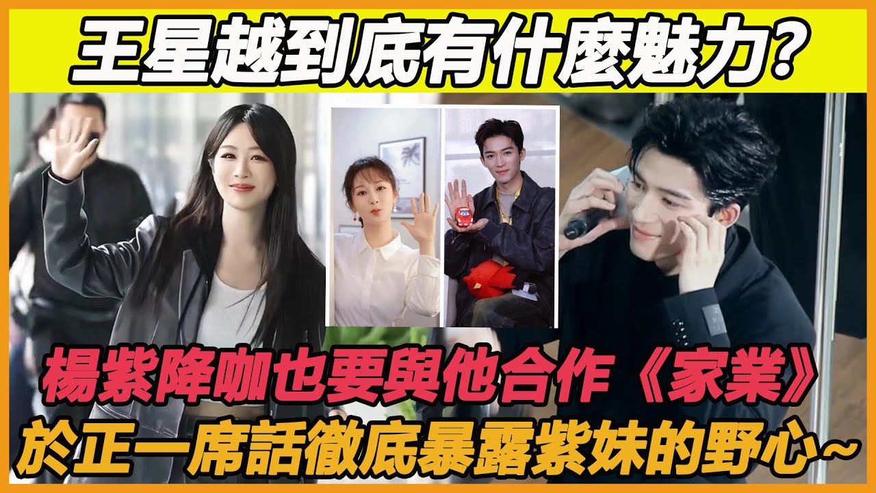 王星越到底有什麼魅力？楊紫降咖也要與他合作《家業》，於正一席話徹底暴露紫妹的野心，為得獎她什麼都不在乎~#楊紫#王星越#於正#許凱#白鹿