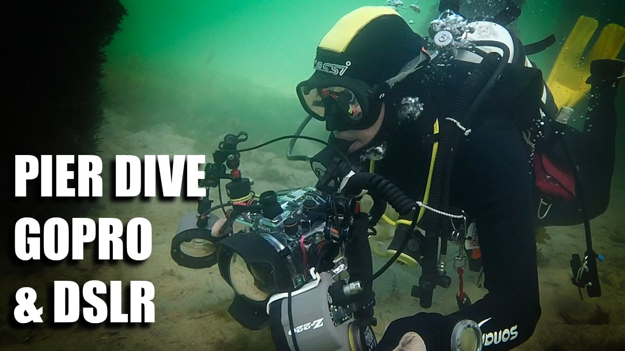 St Leonards Pier photo dive
