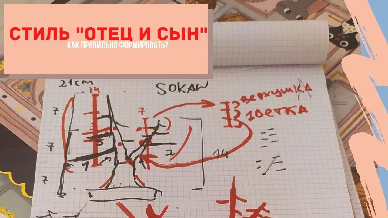 Стили бонсай. Как вырастить бонсай в стиле Сокан(Sokan) -