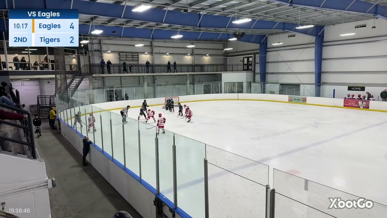 2nd Period vs Toronto Eagles on March 3rd 