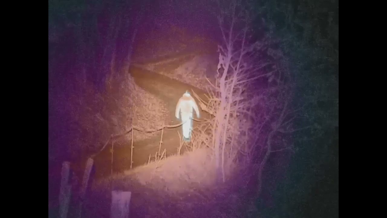 HYDRA THERMAL FUSION NIGHT-VISION by DIYCON