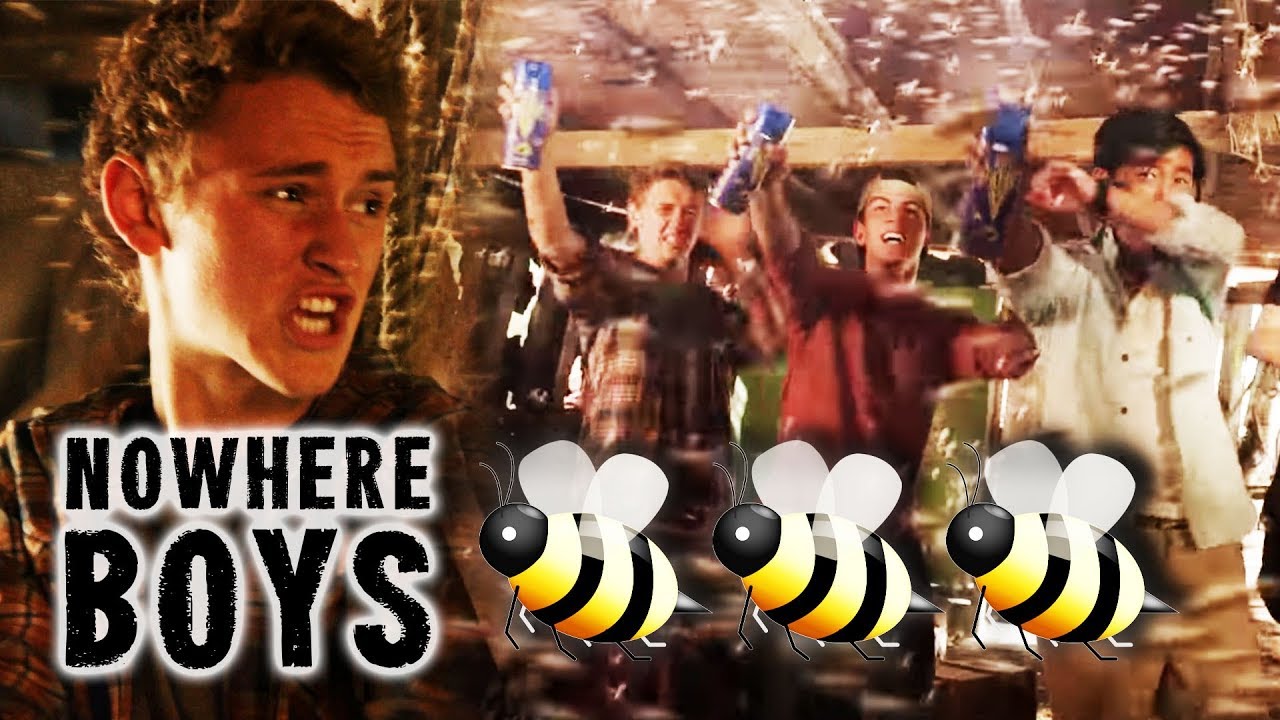Attacked By Alien Bees! | Nowhere Boys