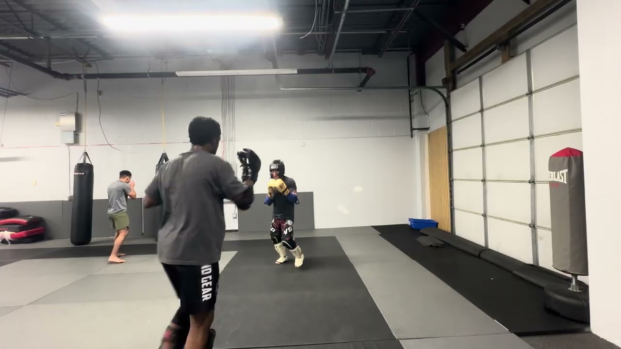Wing C Inspired Sparring