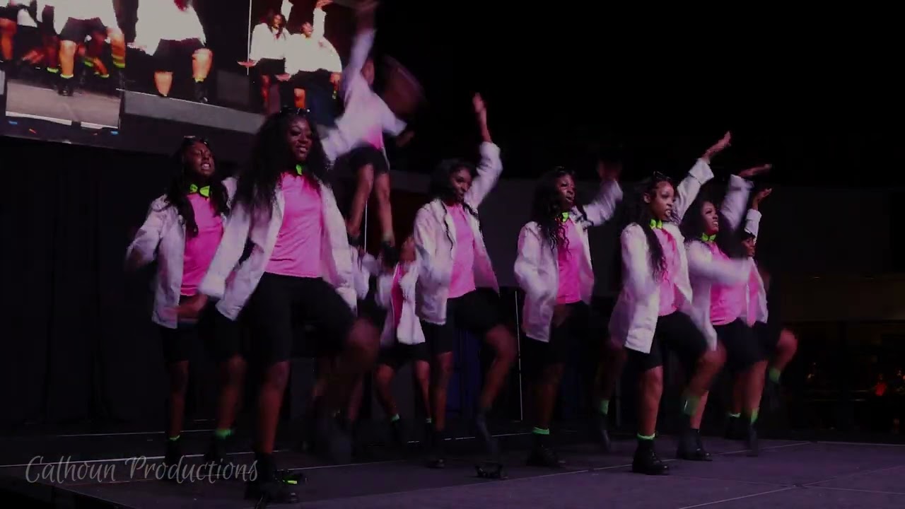Alpha Psi Chapter of Alpha Kappa Alpha Sorority, Inc. @ Tennessee State University Step Show 2022
