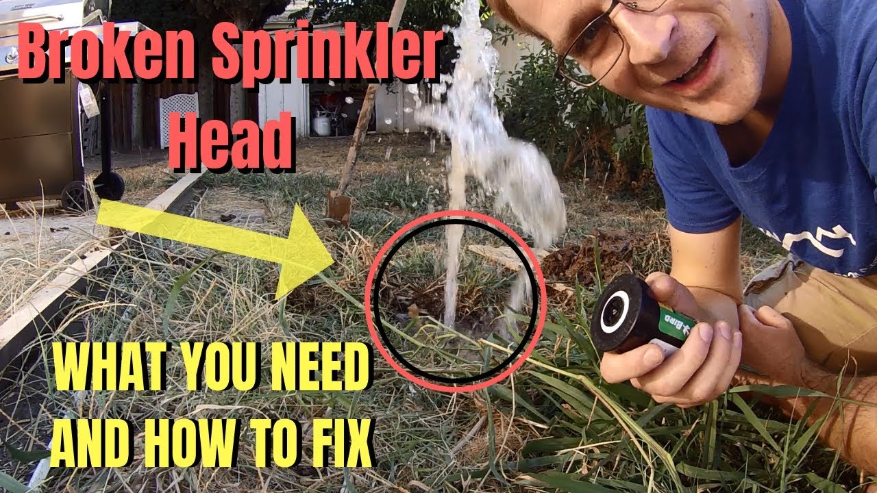 Сломанная головка дождевателя / RainBird / Что вам нужно и как это исправить