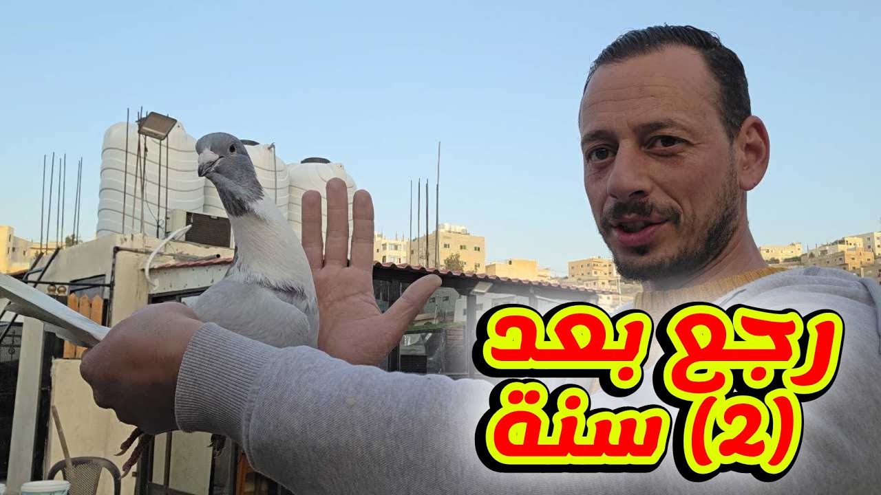 من اجمل الطيور الي كانت عندي رجع بعد سنتين بس كيف رجع