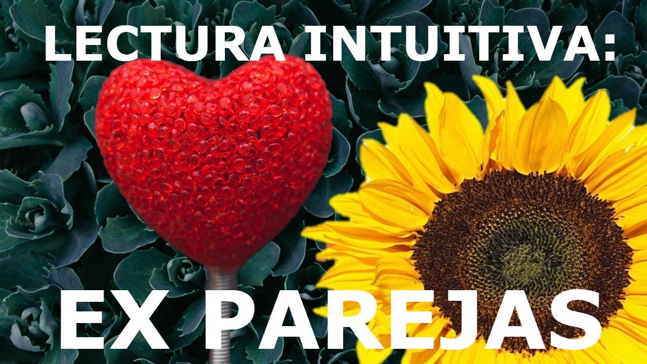 Ex pareja. Lectura Intuitiva. Elige tu opcion 💛💜💙