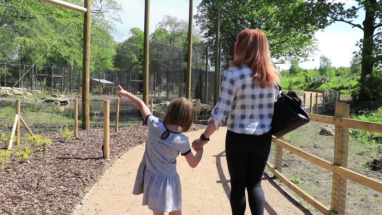 Amur Tiger Trail at Knowsley Safari