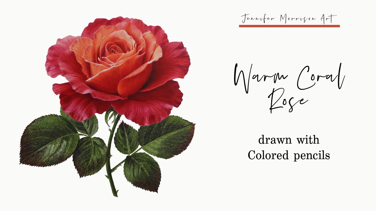 Warm Coral Rose for YouTube