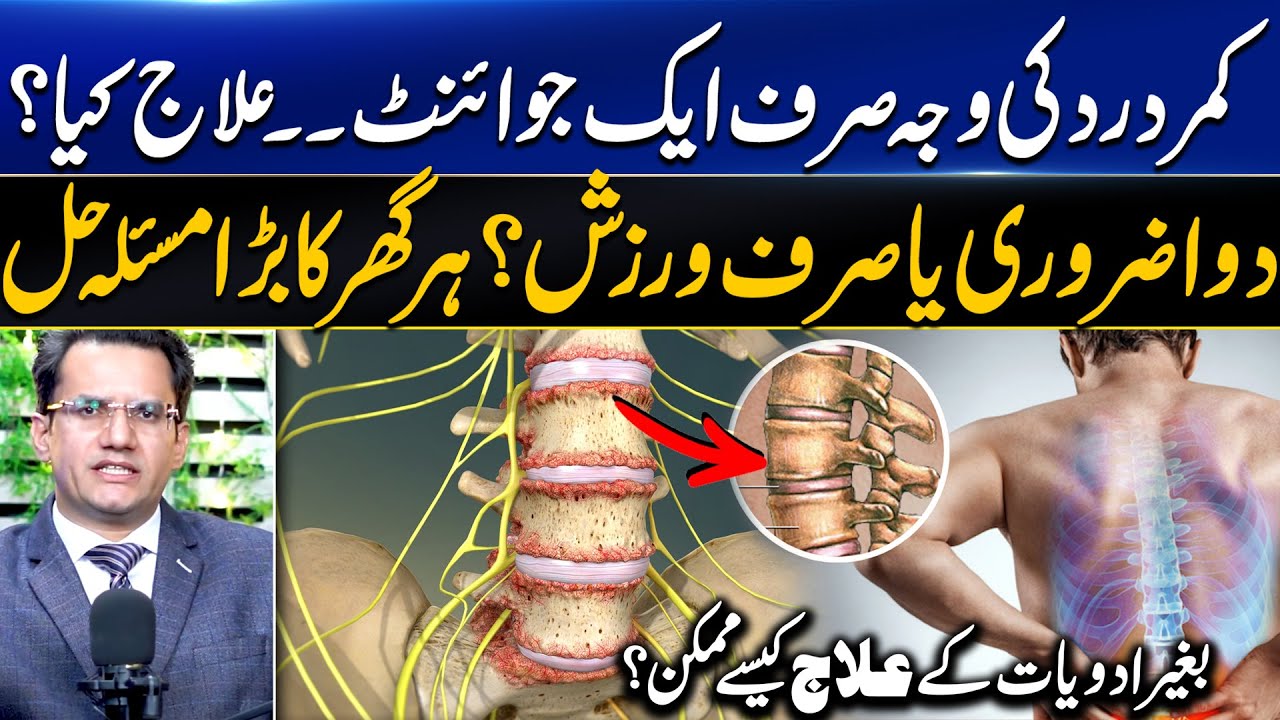 Back Pain Main Reason 