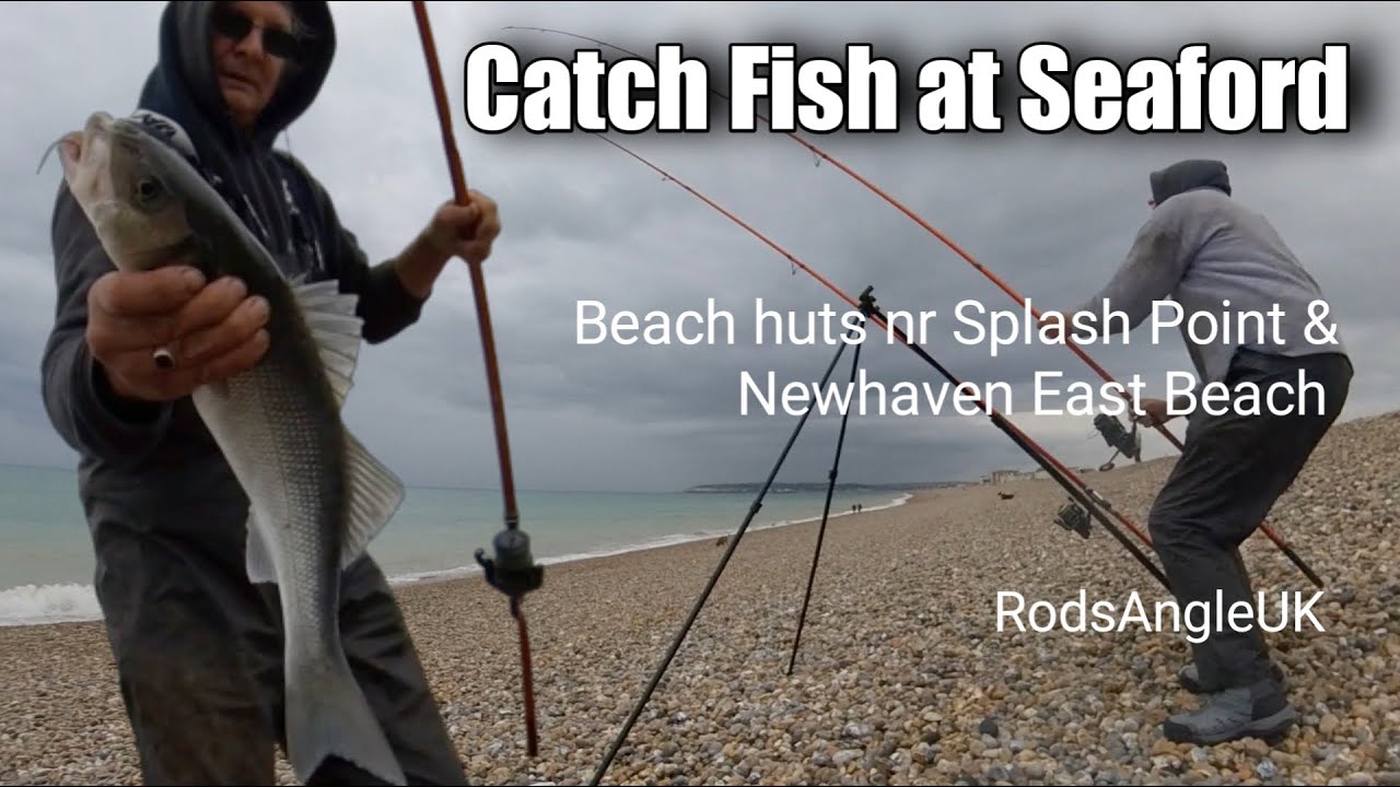 Catch Fish at Seaford: SEAFORD BAY ENDS COMPARED