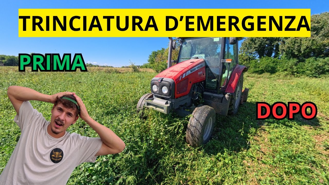 TRINCIAMO 10 ETTARI con il MASSEY FERGUSON 5425 - TROPPI PROBLEMI