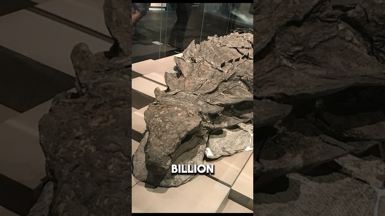 What a One in a billion dinosaur fossil looks like