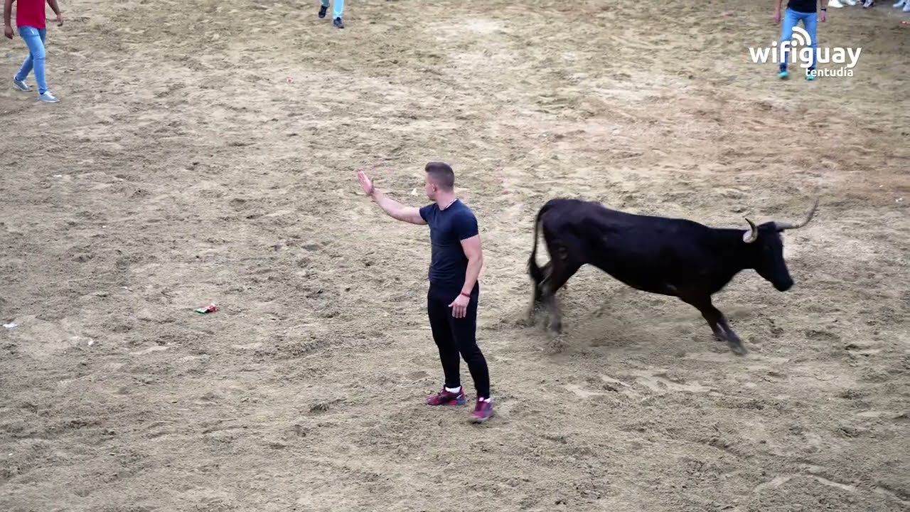 Capeas de Segura de León 2023.