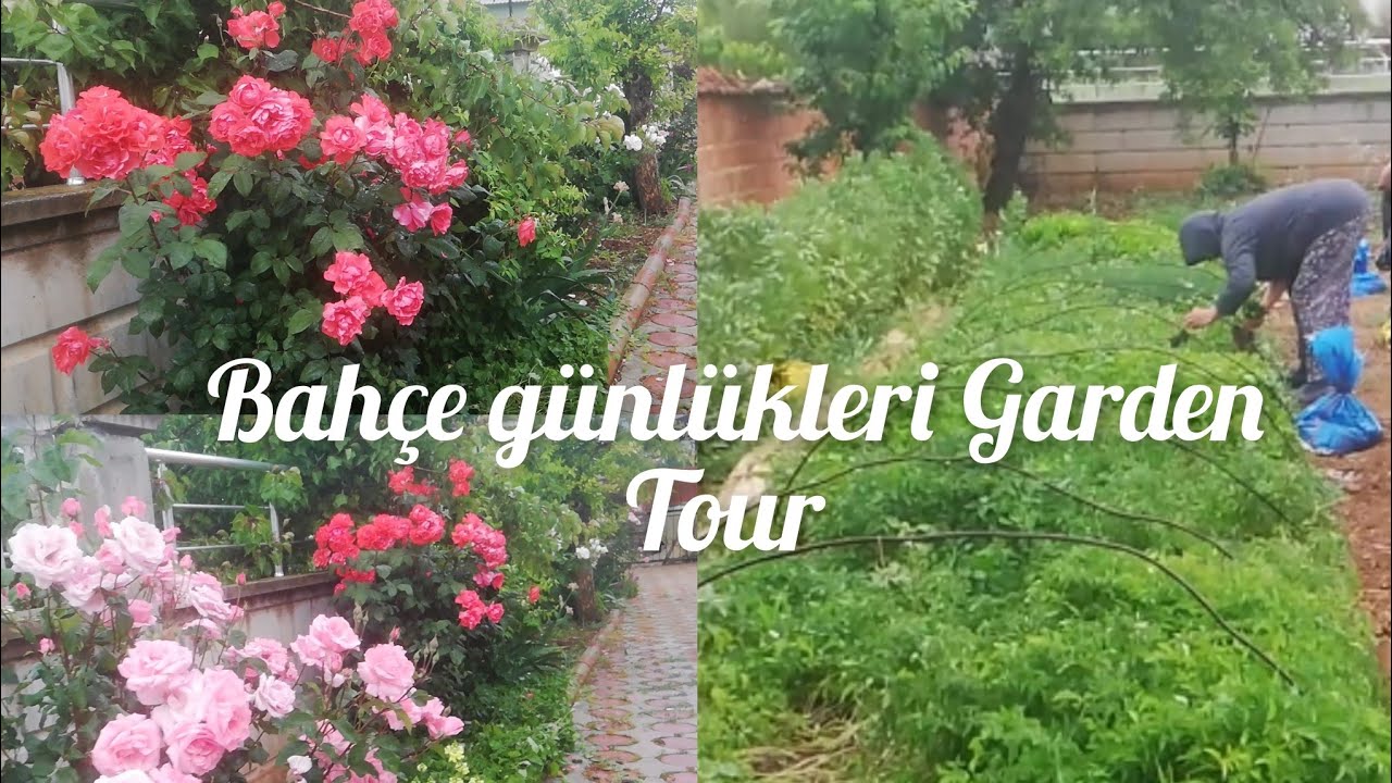 Denizli tavas ulukent Köy Vlog Bahçe günlükleri Garden Tour dikim zamanı