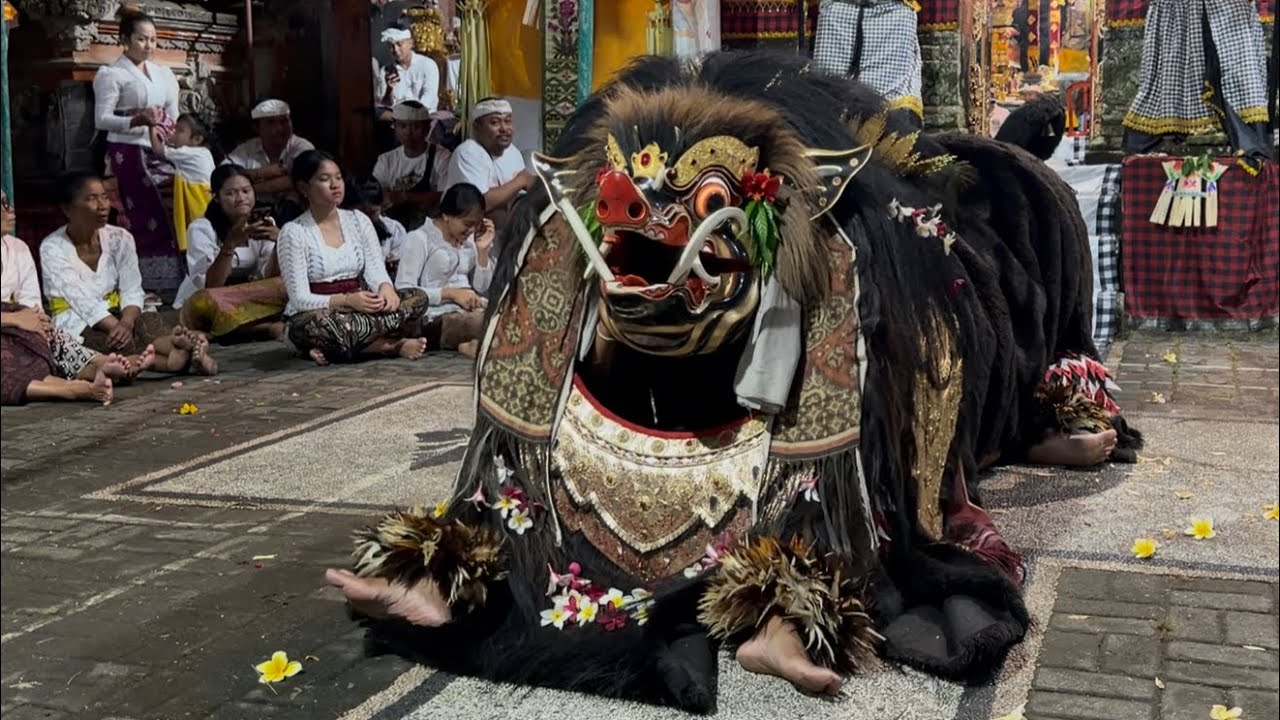 BANGKAL GIRANG mesolah di Pura Dalem Betawi