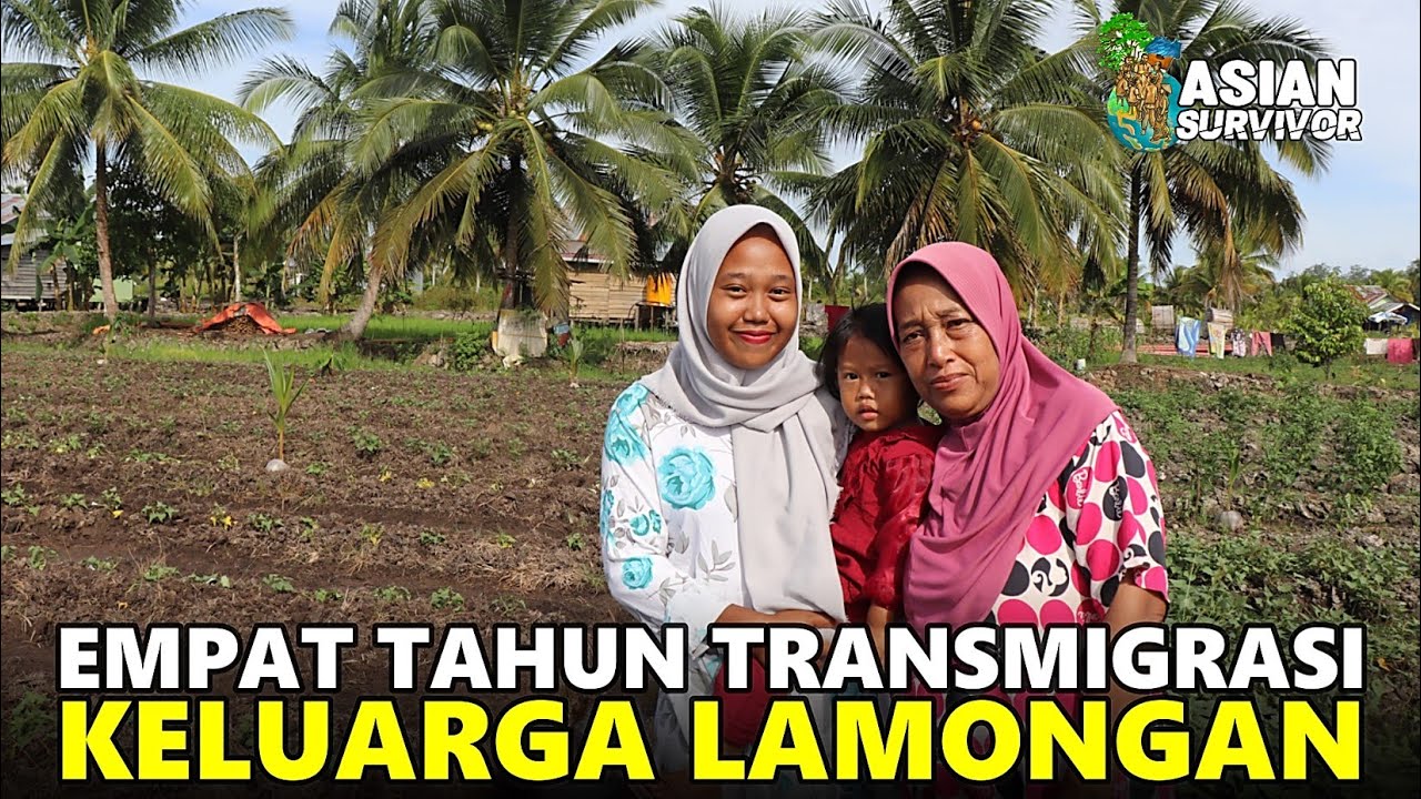 BERJUANG TANGGUL SENDIRI LAHANNYA, KELUARGA TRANSMIGRASI ASAL LAMONGAN INI MULAI MENUAI HASILNYA