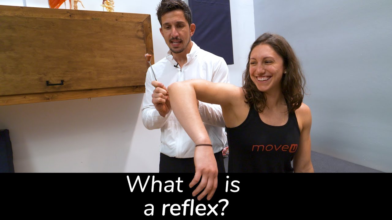What's Happening When A Doctor Tests Your Knee Jerk Reaction?