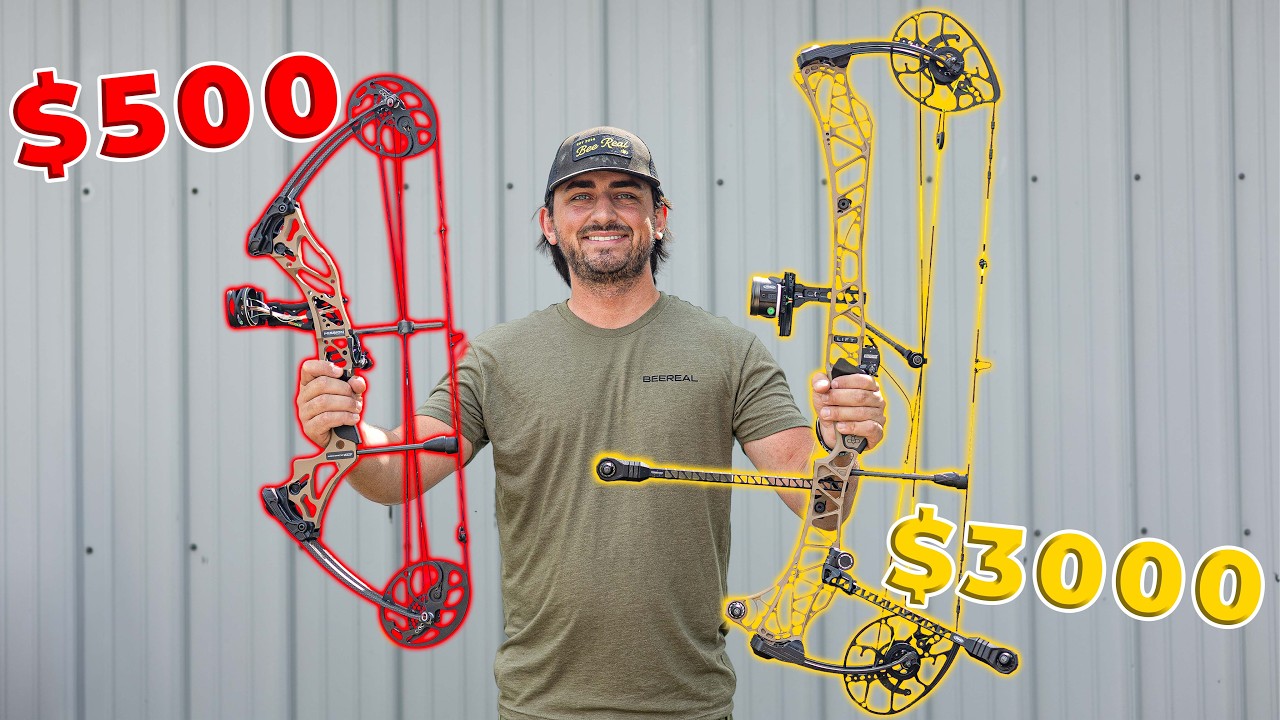 $500 BOW VS $3000 BOW