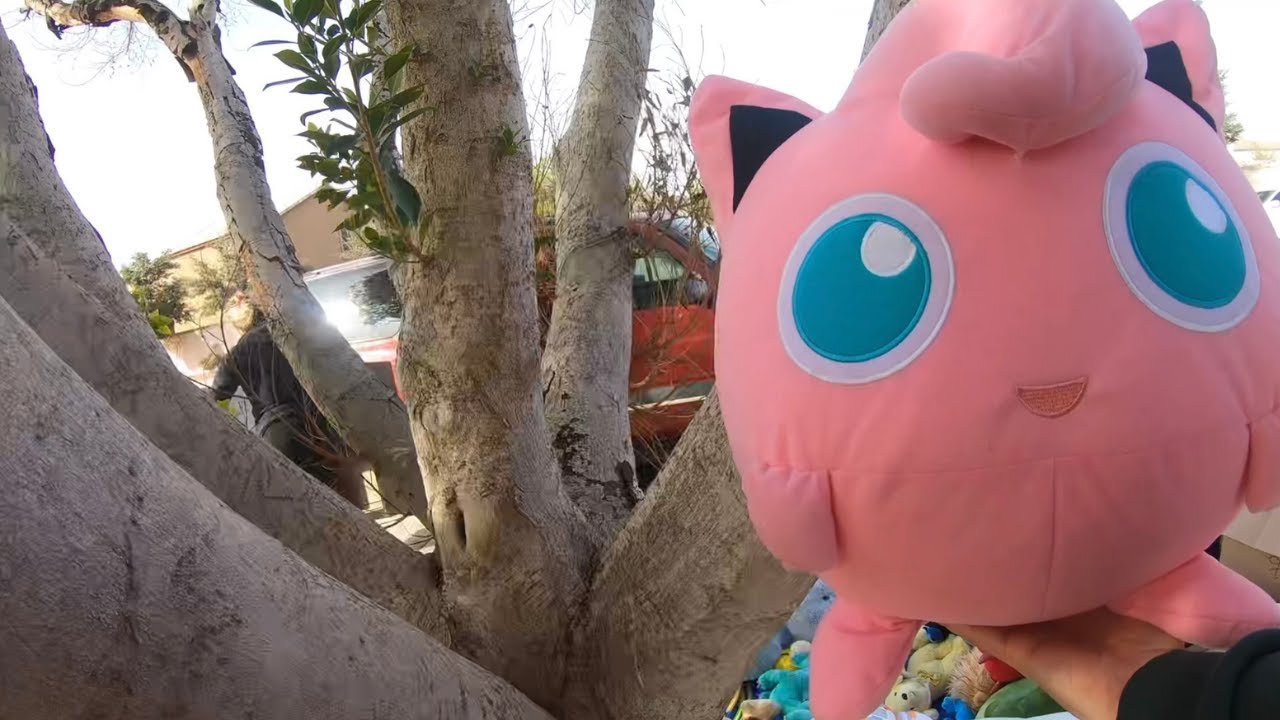 Garage Sale Scores! Finding Pokémon & More