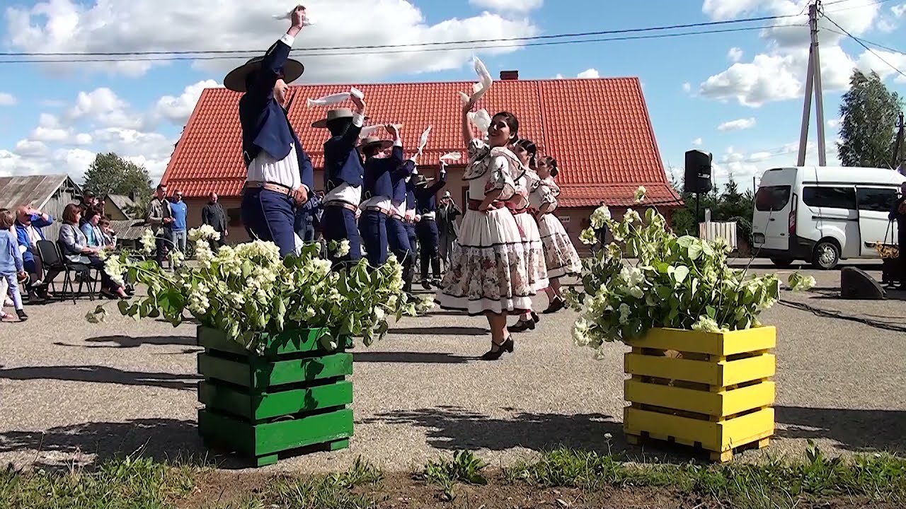 žarėnai  mindauginės 2019 m