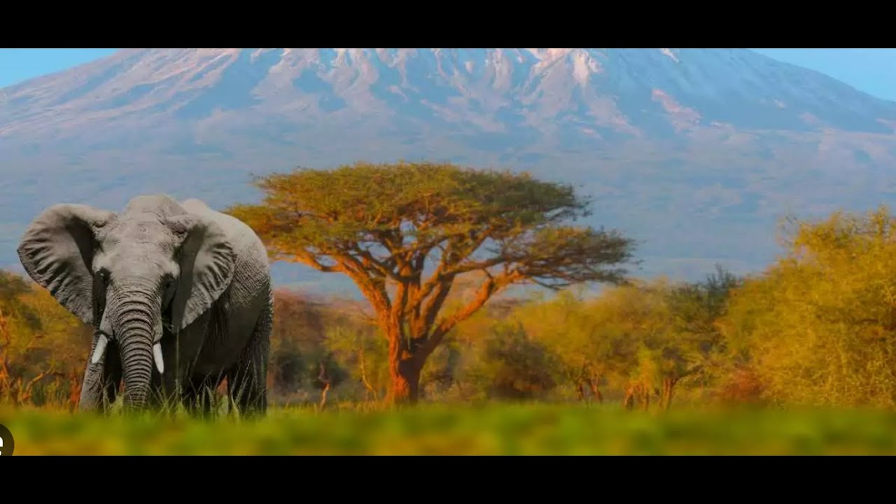 Kenya oh Kenya - The Journey of Transformation - www.delivery.go.ke - (Jubilee song)