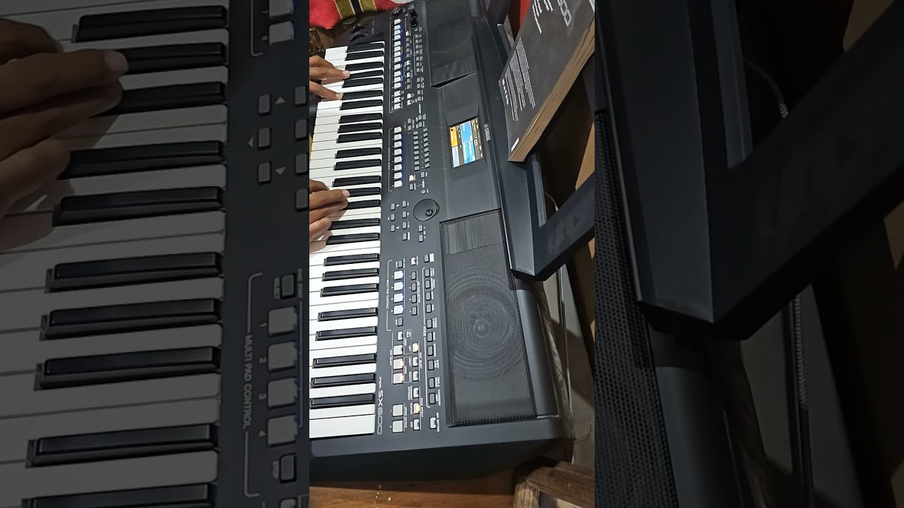 Psr sx600 Cover The Air That I Breathe ( The Hollies )