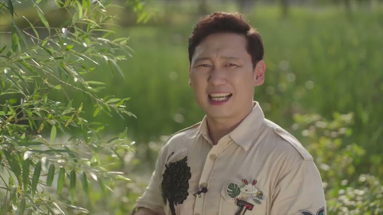 [서울식물원xEBS] 진지한 식물관찰을 위한 가이드 북 EP 5 - 버드나무