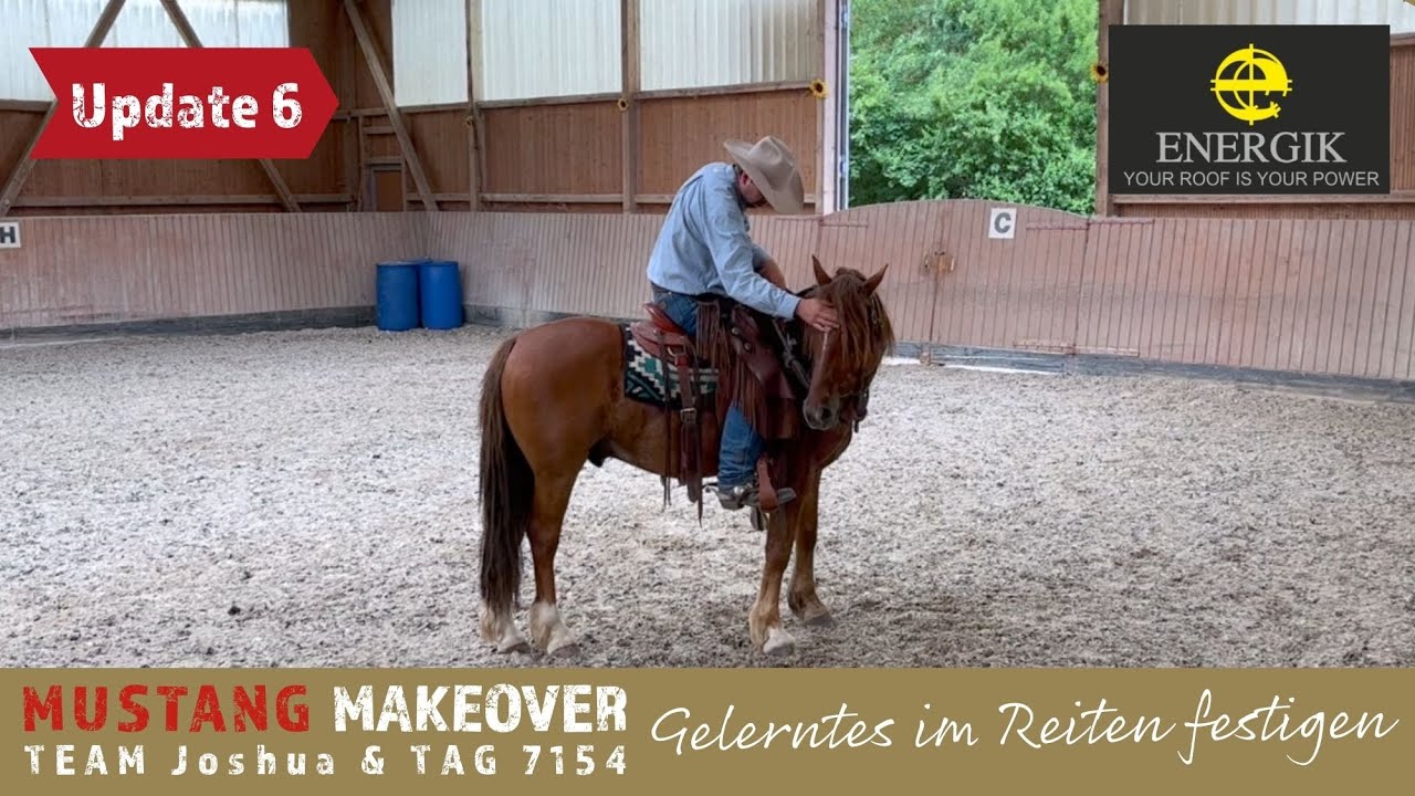 MUSTANG MAKEOVER 2022 - Von Raubtier und Fluchttier zu Partnern😍 | Team Joshua Update 6