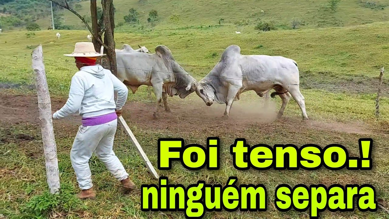 Fui visitar uma fazenda da região não estava por isso foi tenso .!!