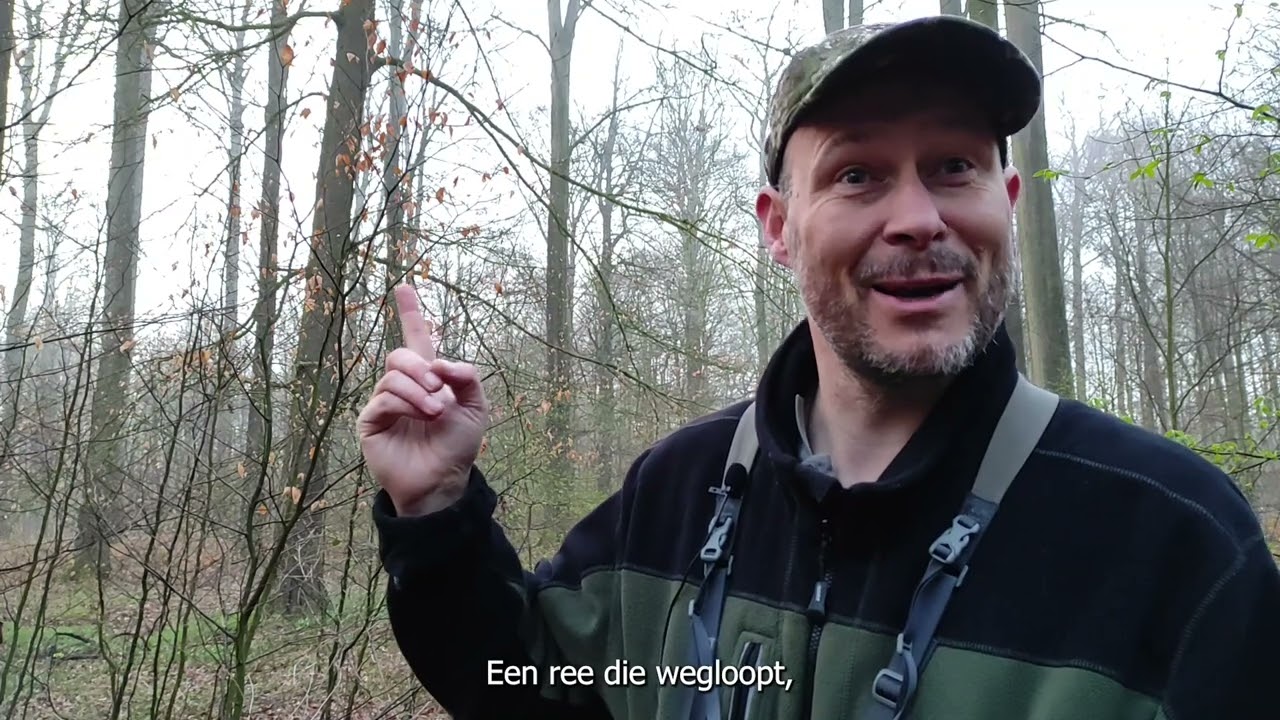 Grofwildtellingen in het Zoniënwoud: hoe tellen we reeën?