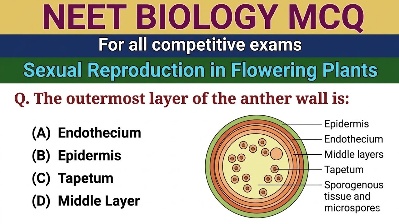 Sexual Reproduction in Flowering Plants Class 12 MCQ | NEET Biology MCQ