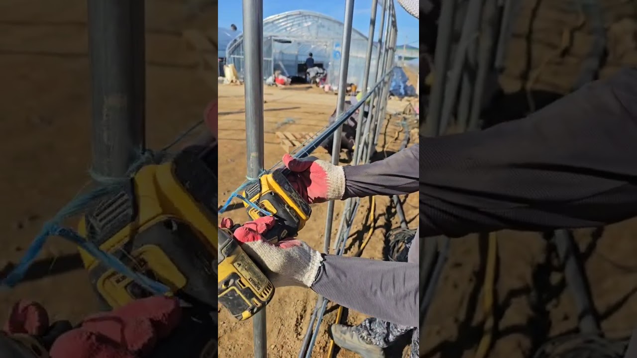 Строительство теплиц в Корея. Greenhouse Korea.