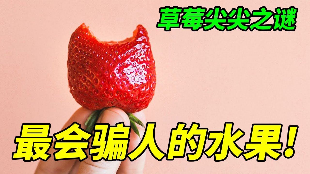 【草莓】全身上下都在骗!为什么只有草莓尖尖是甜的