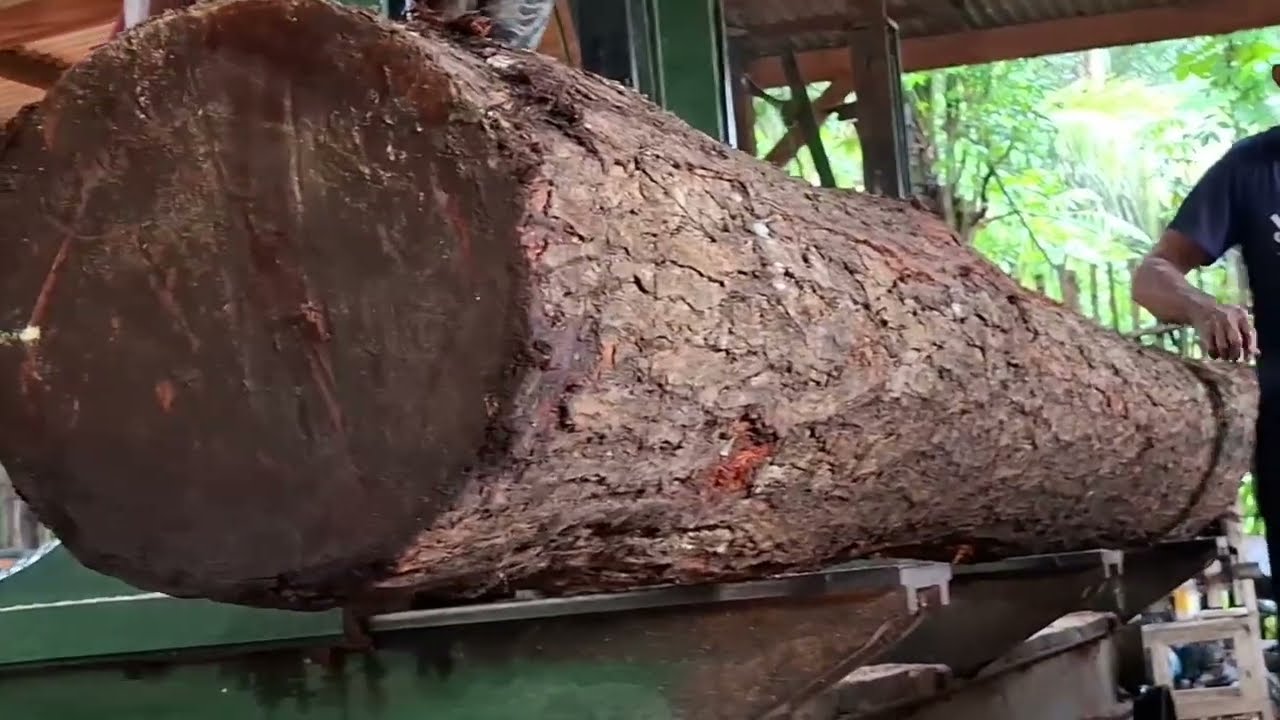 Five meter wide wooden planks for raw materials for making large mahogany truck beds
