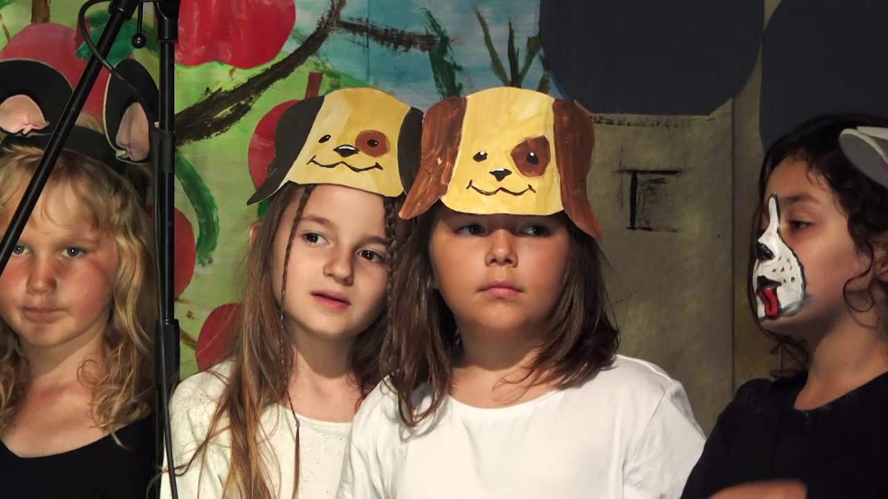 Drei Wünsche frei - Volksschule Krems/Lerchenfeld