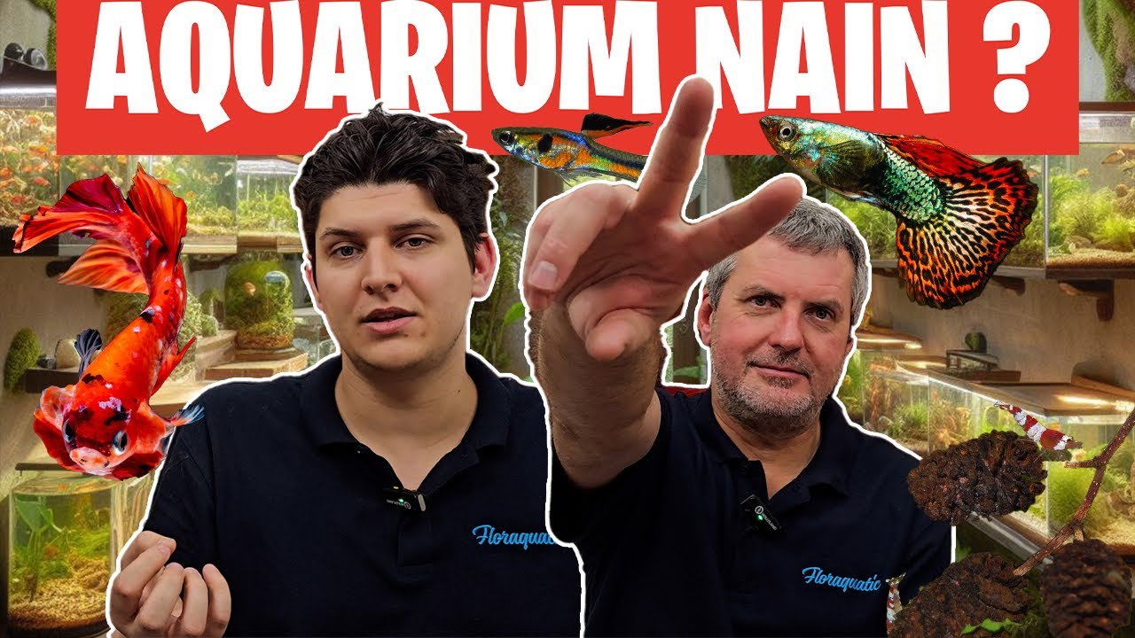 Doit-on interdire ces aquariums ? 🐟 - Floraquatic