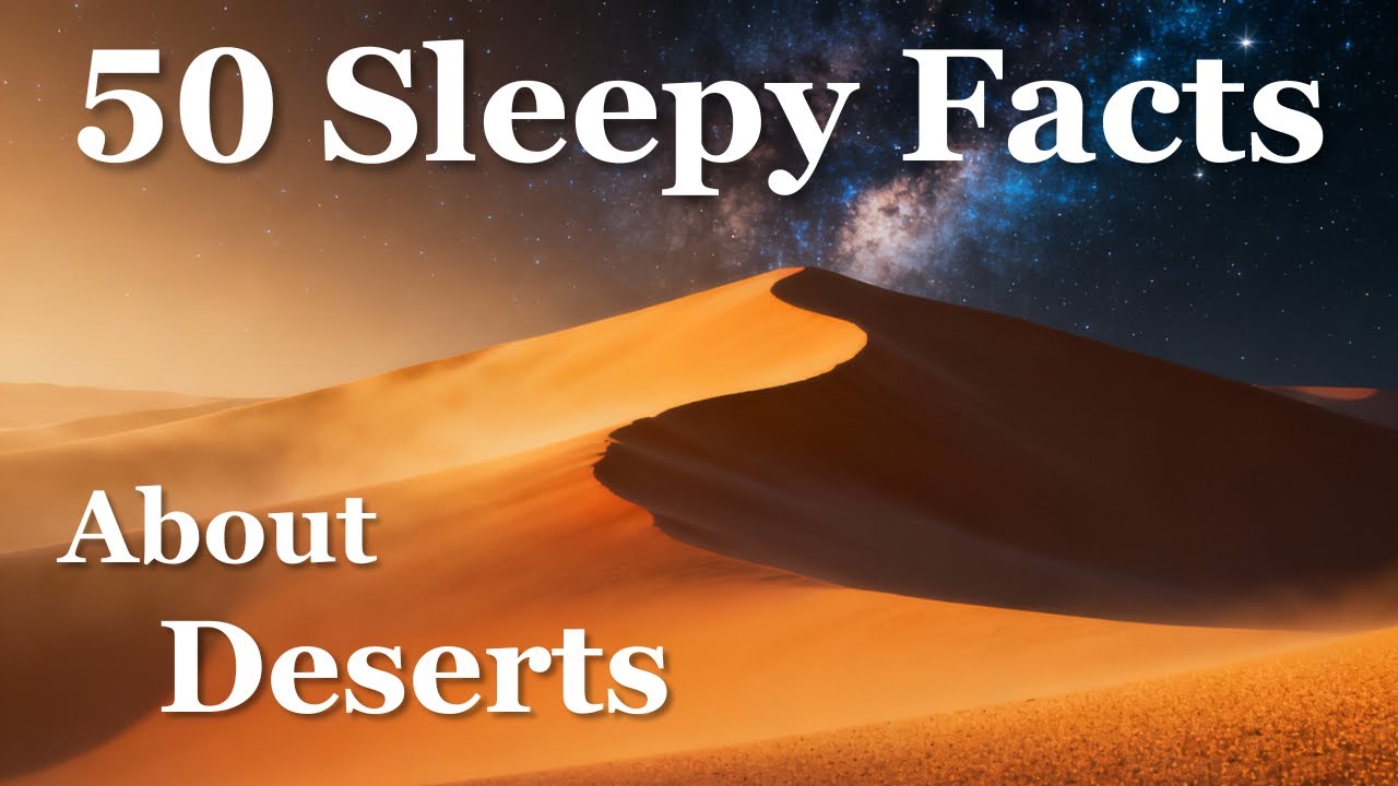 The Most Relaxing Facts About Deserts to Fall Asleep to