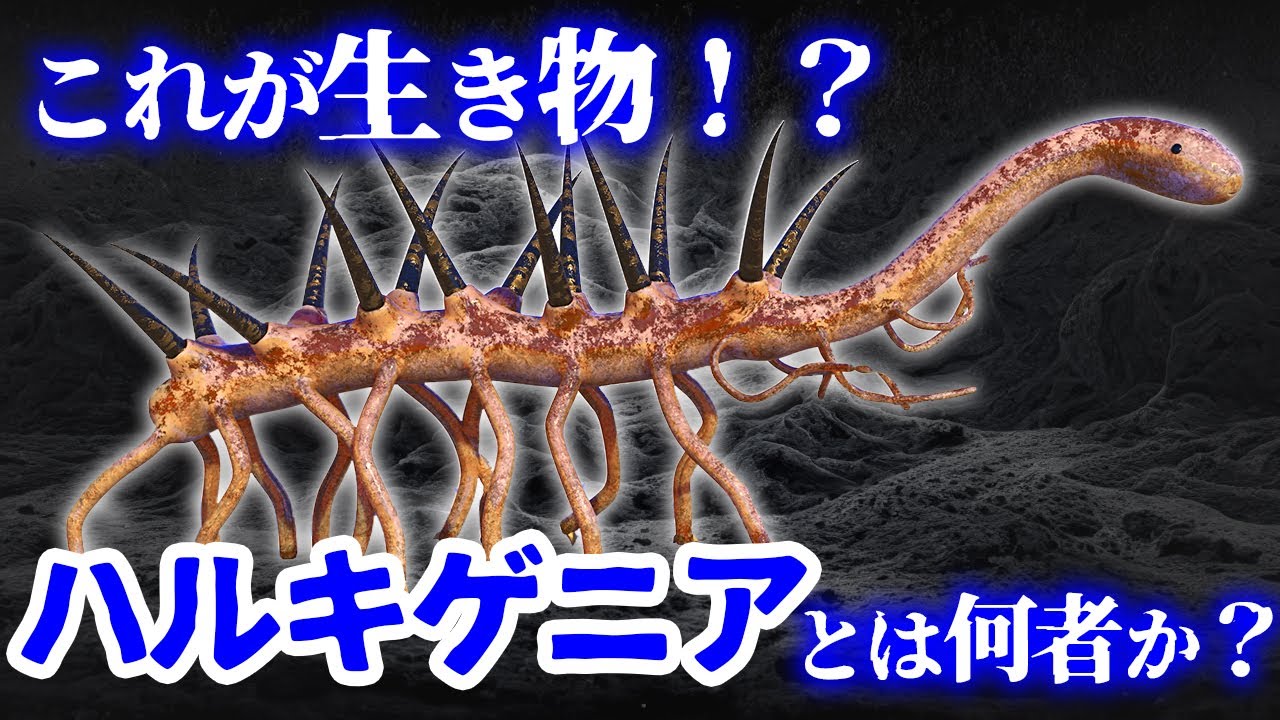 【ゆっくり解説】5億年前のモンスター　学者を大混乱させたハルキゲニアとは何者か？