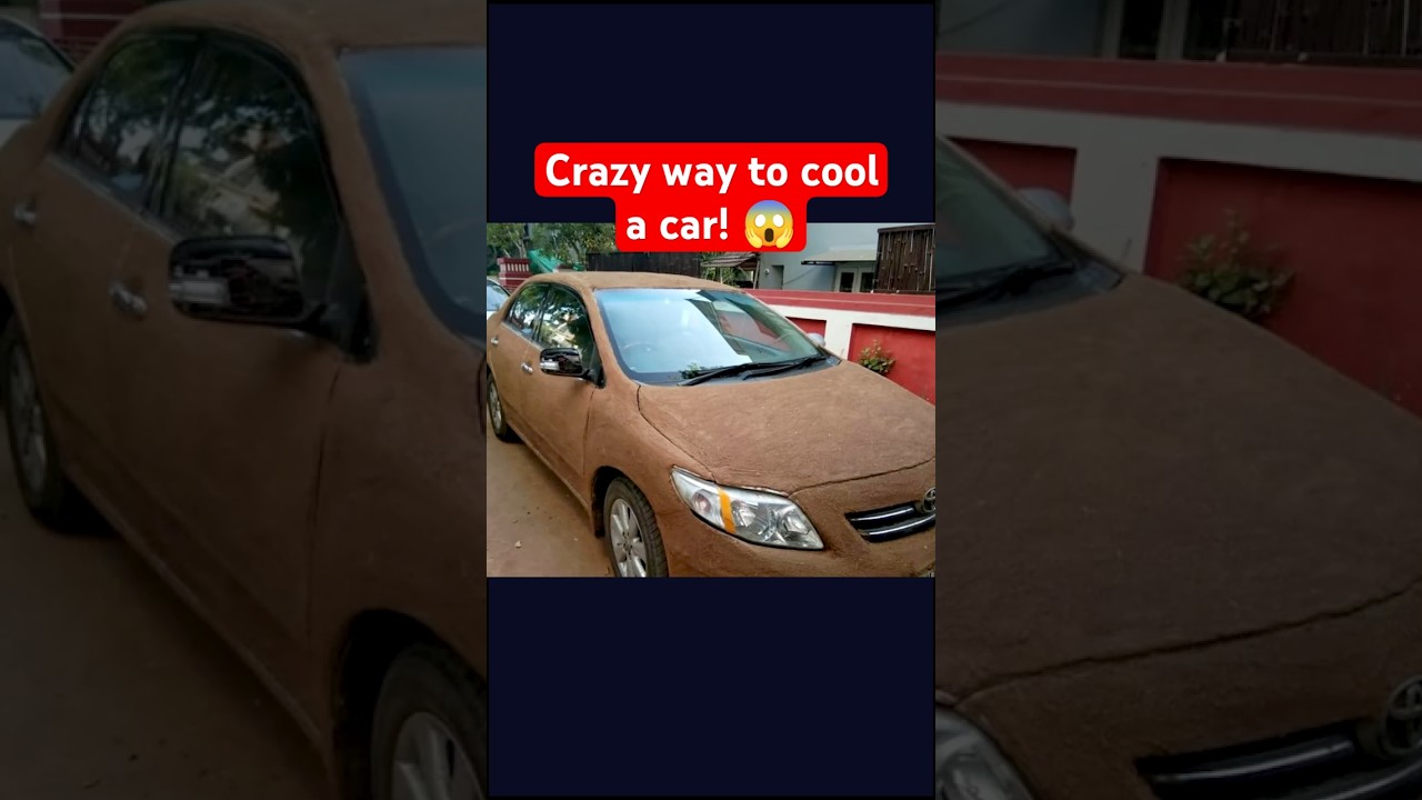 Weird Way to Keep a Car Cool in Summer! 😲 