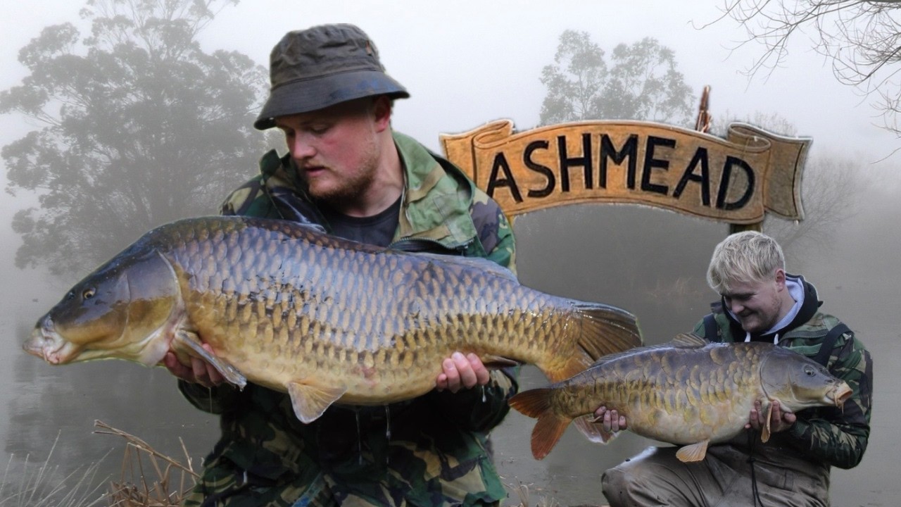 Chasing dreams on the wetland maze | My tails of ASHMEAD | CARP FISHING | CIR