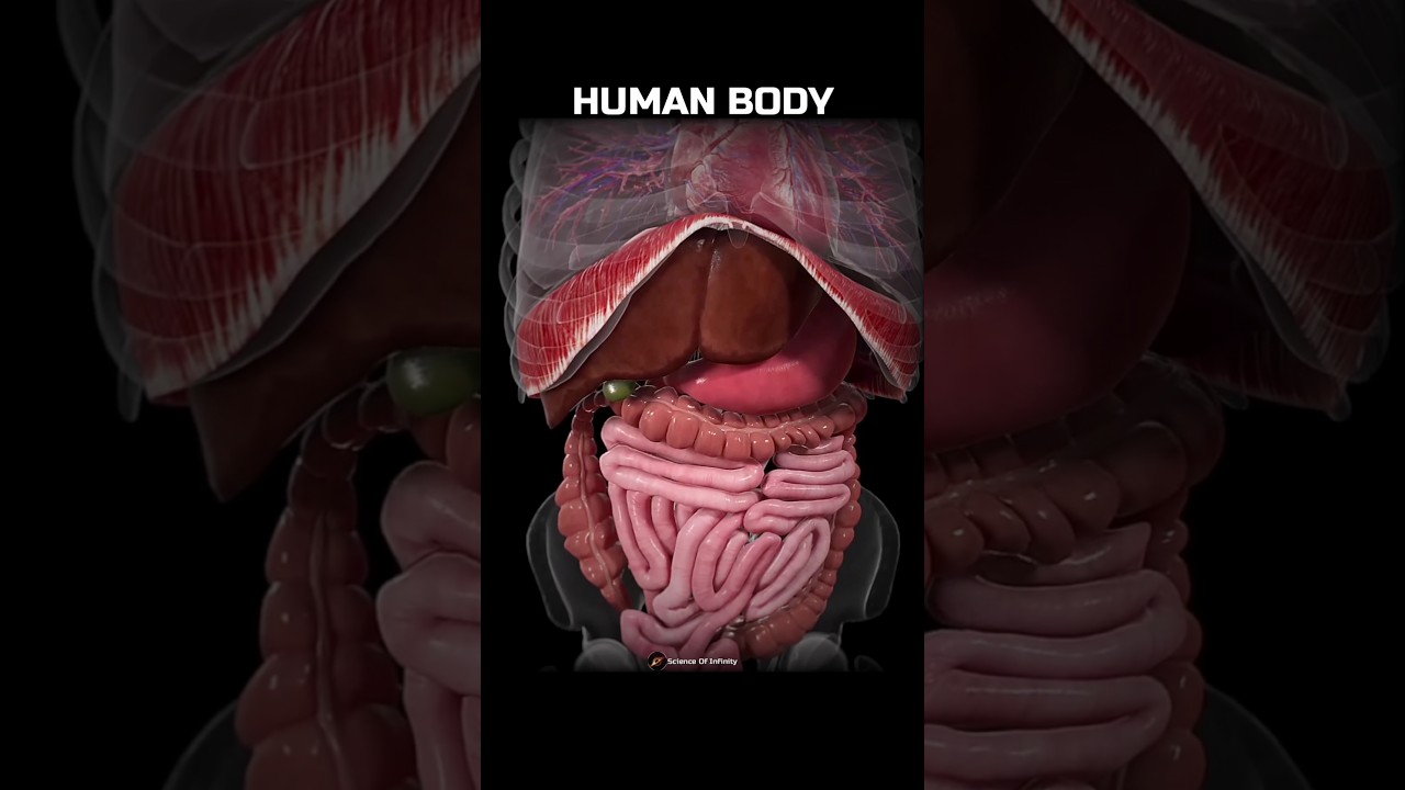 Most expensive objects in the universe! 💀🤯 #Shorts #Space #Universe #Biology #Science