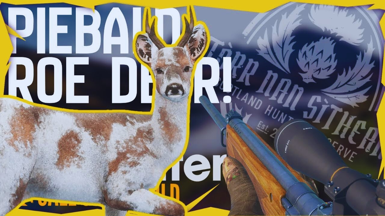 NEW MAP Comes with a PIEBALD Roe Deer! | theHunter Call of the Wild