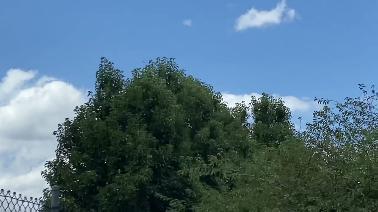 AV Helicopter