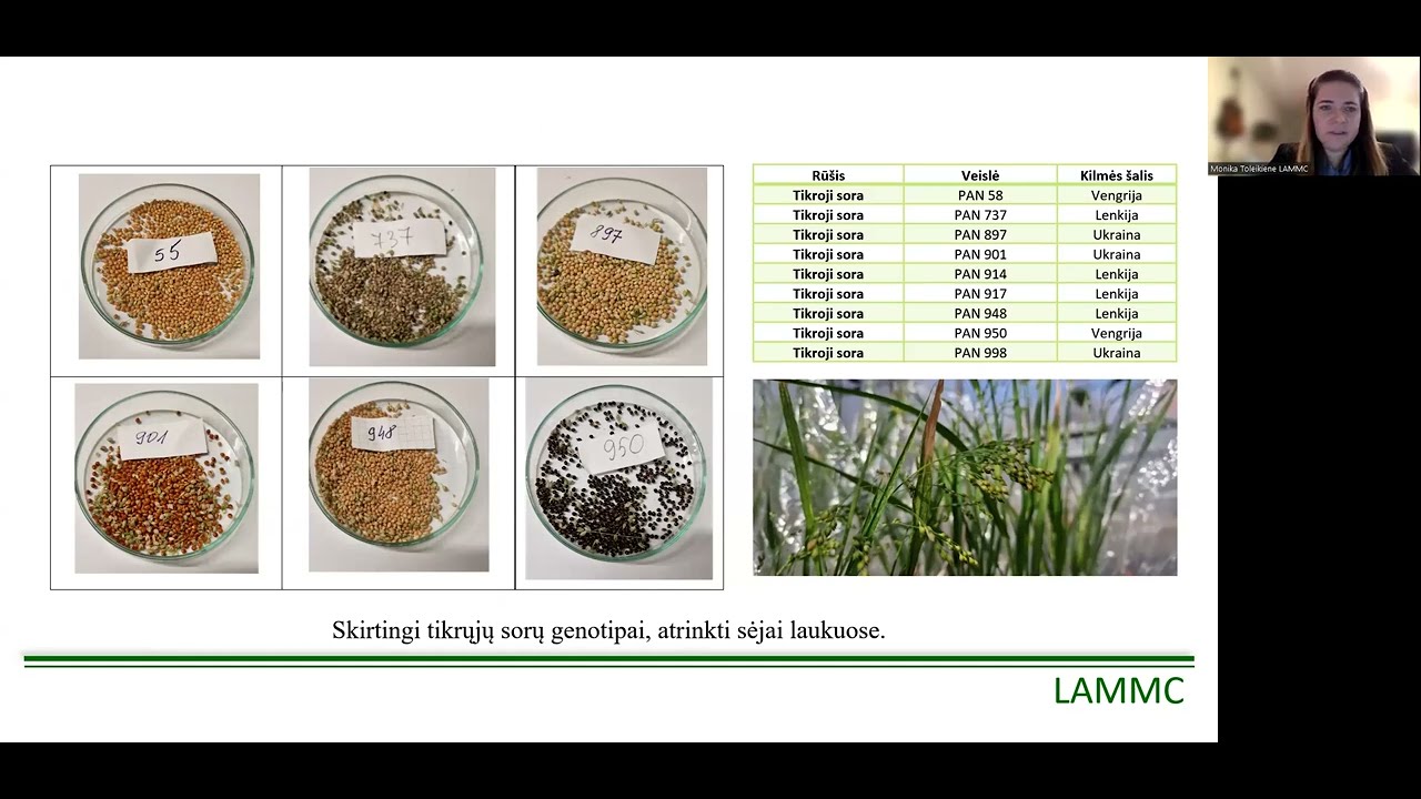 Seminaro „Nauji augalai Lietuvos žemės ūkiui“ vaizdo įrašas