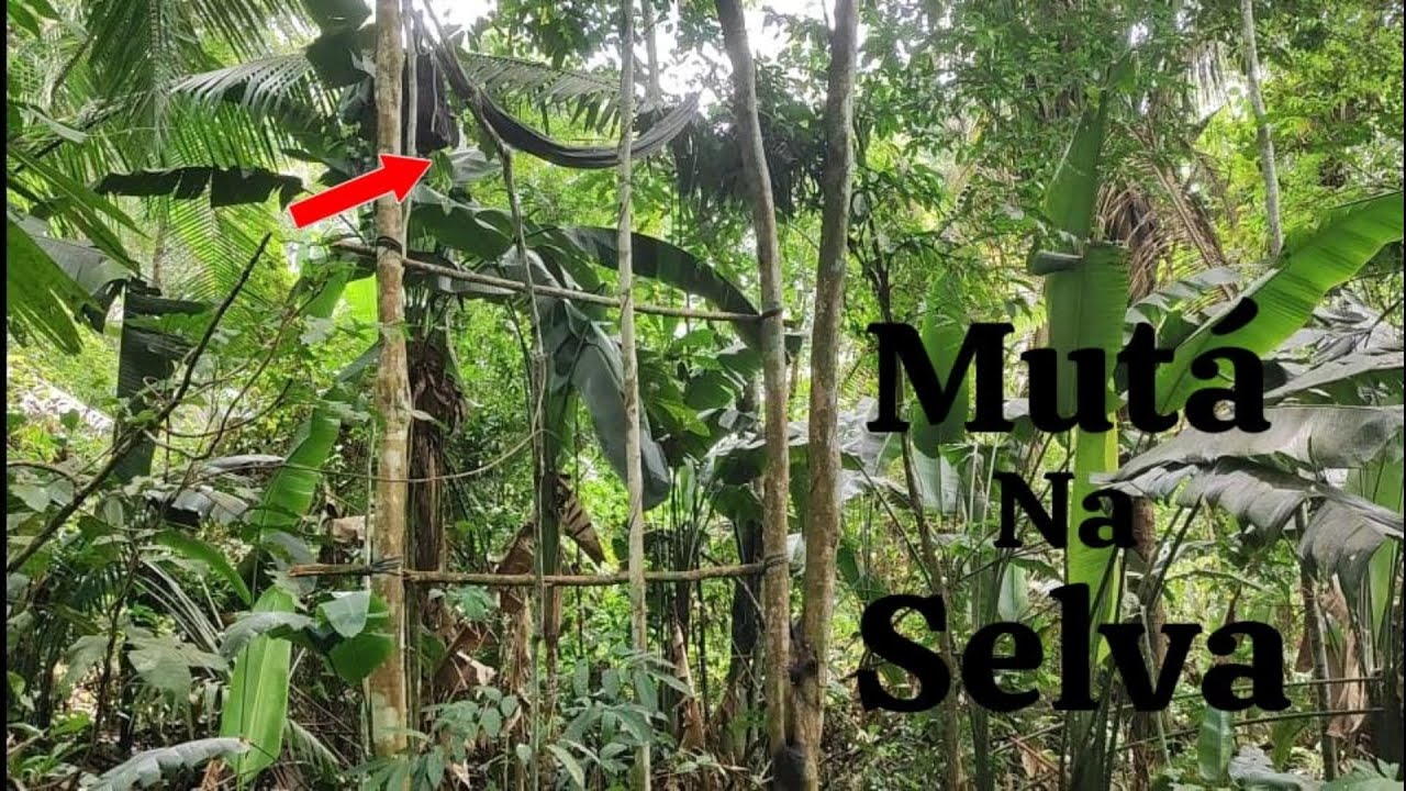 Fiz um (MUTÁ) na SELVA, acompanhem e veja essa AVENTURA 