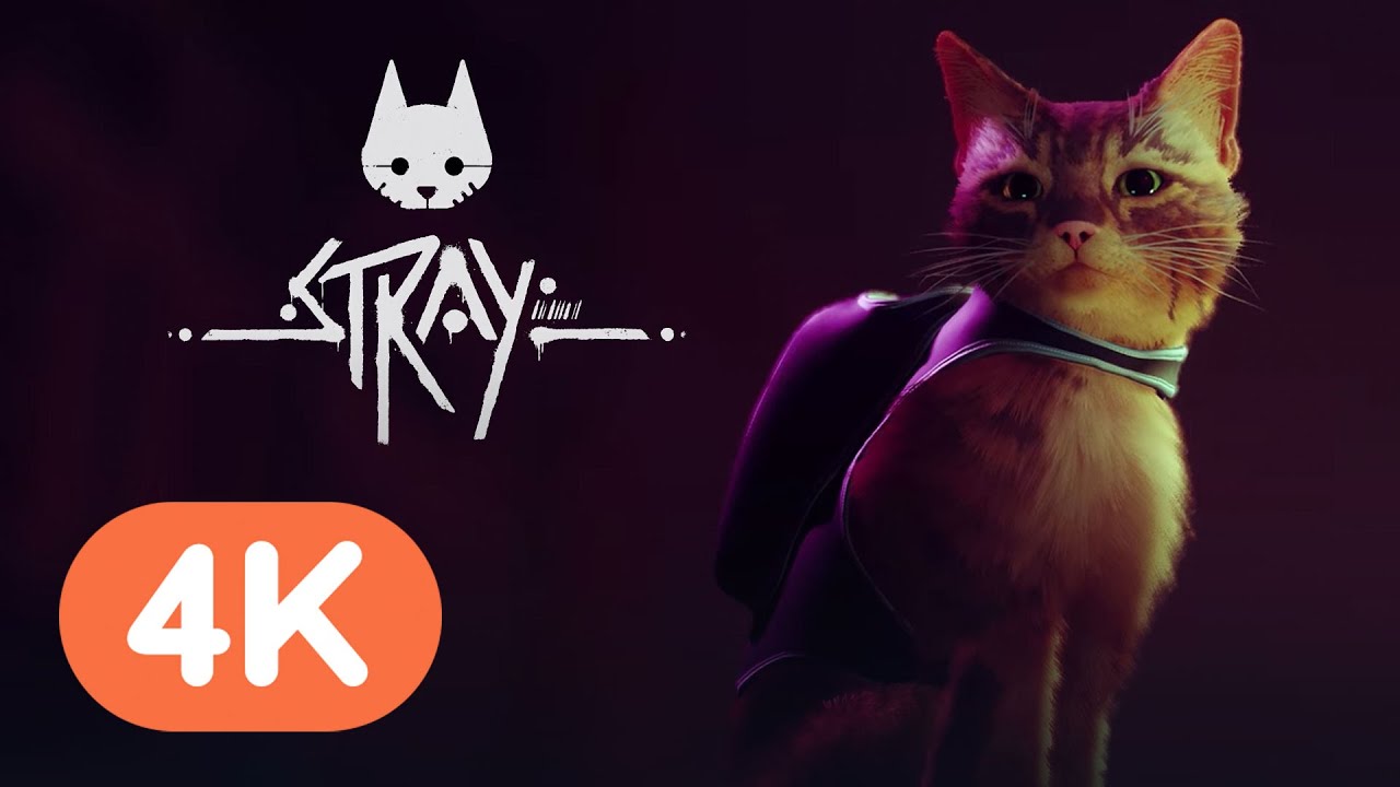 Stray - Official Reveal Trailer | PS5 Reveal Event